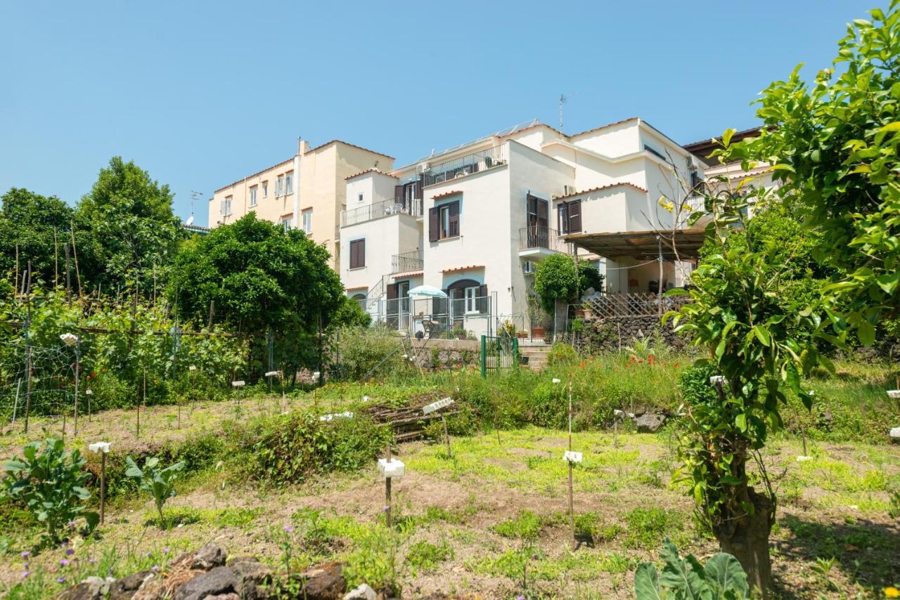 Dei Sogni - Ponte Aparthotel Ischia